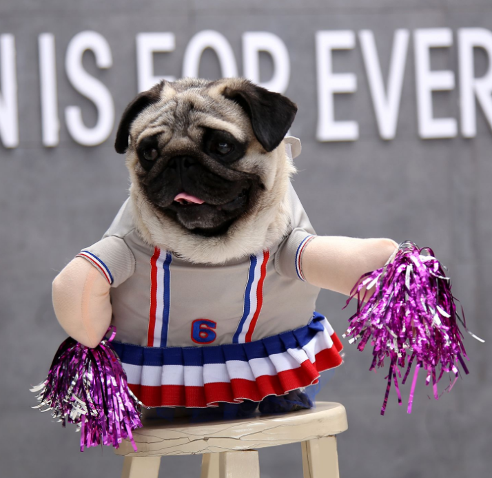 Cheerleader Cat Costumes