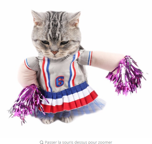 Cheerleader Cat Costumes